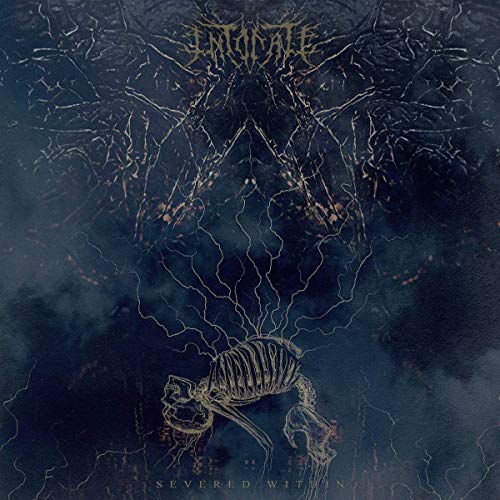 Intonate Severed WIthin [Random Mixed Color LP]