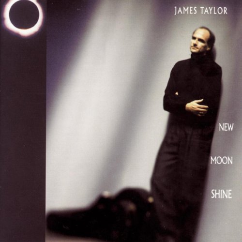 James Taylor New Moonshine [LP]