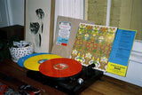 King Gizzard and the Lizard Wizard Butterfly 3000 (Limited Edition, Gatefold LP Jacket, Colored Vinyl, Indie Exclusive) (Japanese Edition)