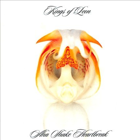 Kings Of Leon Aha Shake Heartbreak