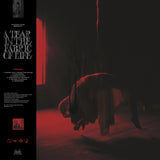 Knocked Loose A Tear In The Fabric Of Life (Colored Vinyl, Blood Red W/ Black Splatter, Indie Exclusive)