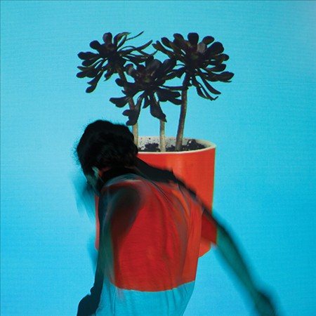 Local Natives SUNLIT YOUTH (LP)