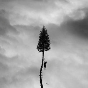 Manchester Orchestra A Black Mile To The Surface [Gray Marble 2 LP]