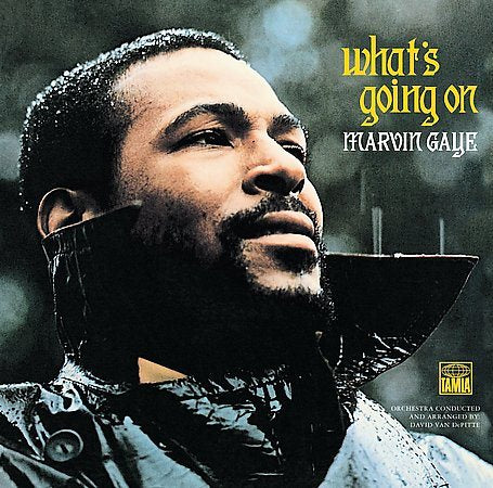 Marvin Gaye WHAT'S GOING ON (VIN