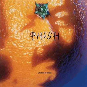 Phish PICTURE OF NECTAR