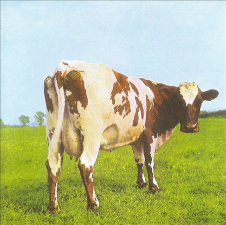 Pink Floyd Atom Heart Mother (Remastered,180 Gram Vinyl, Gatefold LP Jacket)