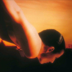 Porcupine Tree ON THE SUNDAY OF LIFE