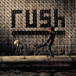 Rush ROLL THE BONES