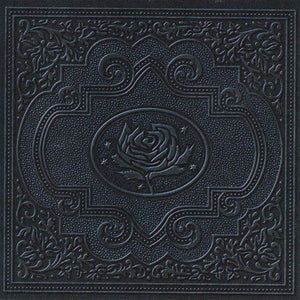 Ryan Adams COLD ROSES