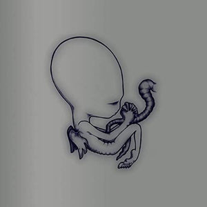 SIGUR ROS AGETIS BYRJUN - A GOOD BEGINNING