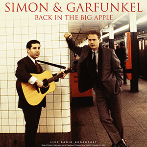 Simon & Garfunkel Back in the Big Apple: 1993 [Import]
