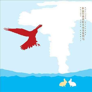 Sufjan Stevens ENJOY YOUR RABBIT