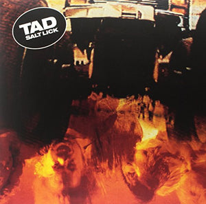 Tad Salt Lick