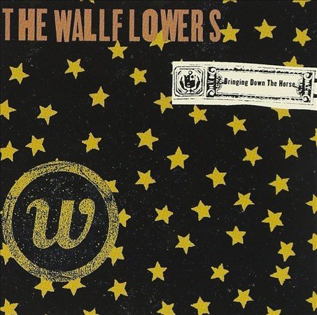 The Wallflowers BRINGING DOWN T(2LP)