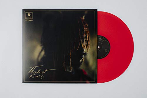 Thundercat It Is What It Is (Colored Vinyl, Red, 140 Gram Vinyl, Photos)