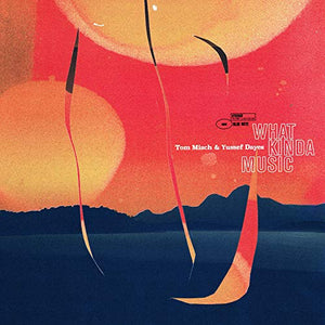 Tom Misch/Yussef Dayes What Kinda Music [2 LP]