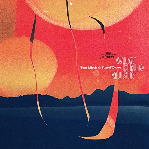 Tom Misch/Yussef Dayes What Kinda Music [2 LP]