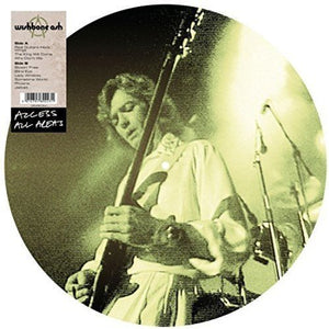 Wishbone Ash Access All Areas (Picture Disc)