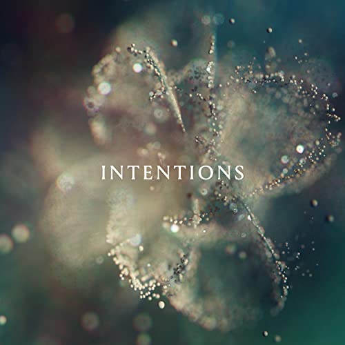 ANNA Intentions [2 LP]