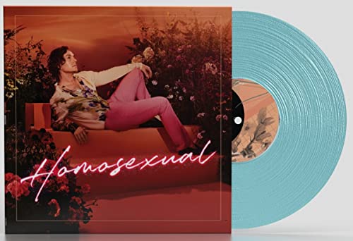 Darren Hayes Homosexual [Turquoise 2 LP]